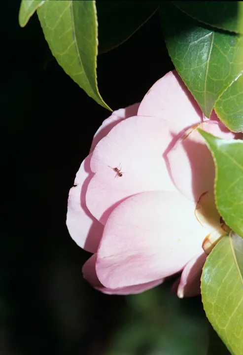 VARIOUS OTHERS – Contemporary Art Munich - Adrianna Glaviano