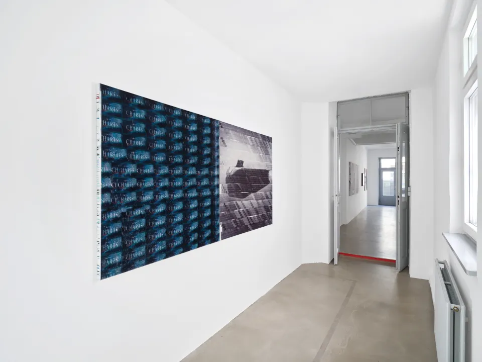 VARIOUS OTHERS – Contemporary Art Munich - Courtesy the artist and Kraupa-Tuskany Zeidler, Ph: Choreo
