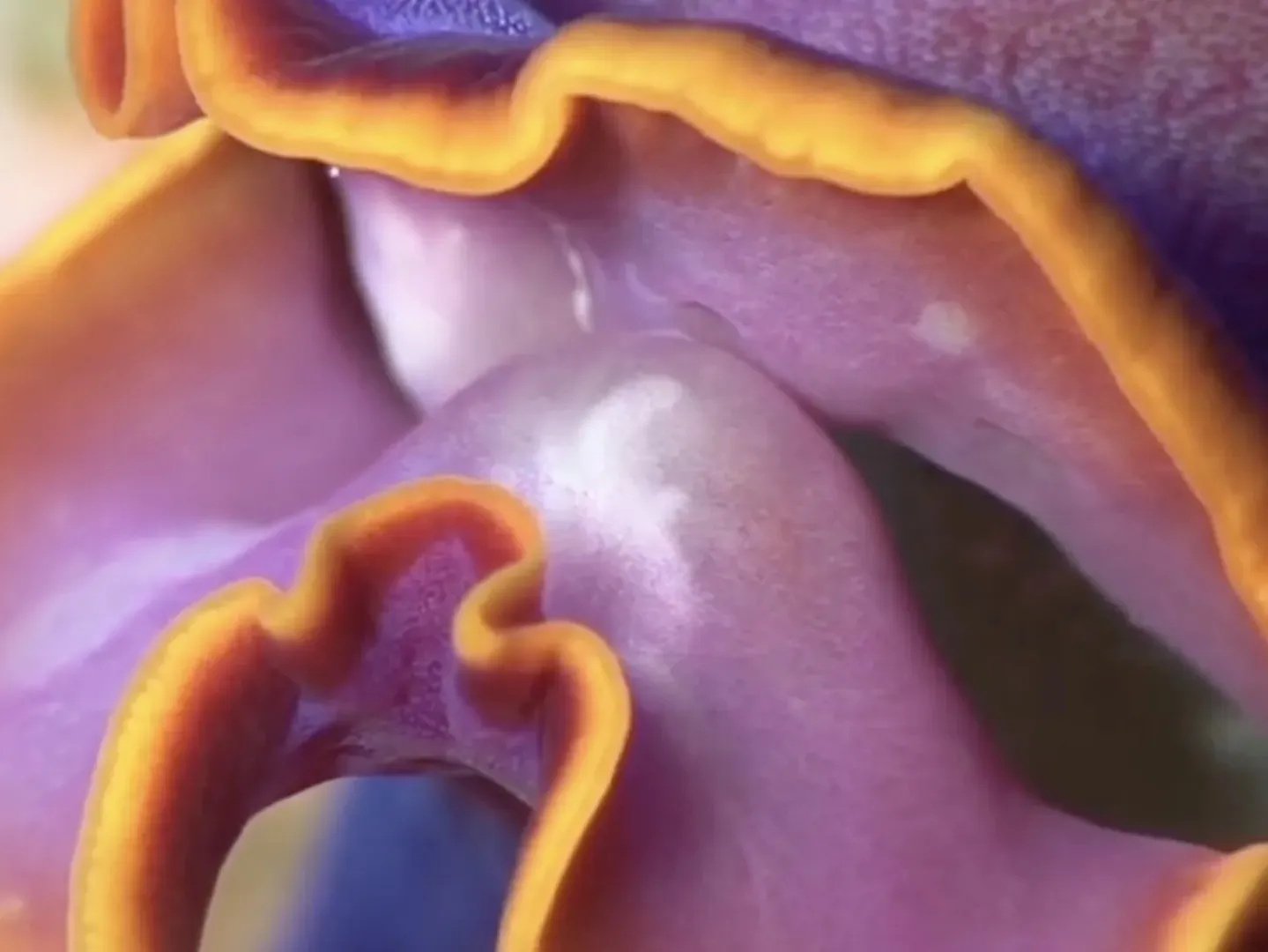 VARIOUS OTHERS – Contemporary Art Munich - Art Walk #1 by Teresa Retzer